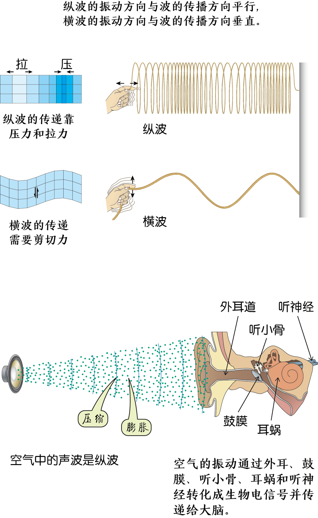 压力波是什么波​声波、压力波、激波与声爆_https://www.jmylbn.com_新闻资讯_第5张