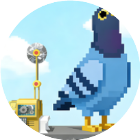 疯狂的鸽子拆墙