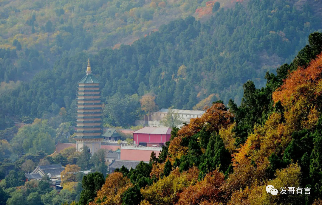 八大处中学排名_北京市八大处中学_北京八大处中学