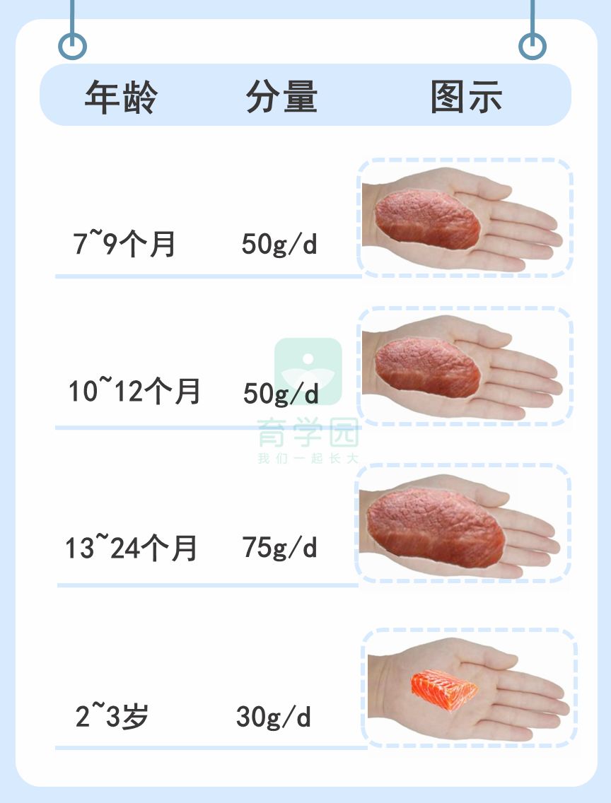 補腦不止DHA，這幾種營養素同樣不能少！你給娃吃夠了嗎？ 親子 第5張