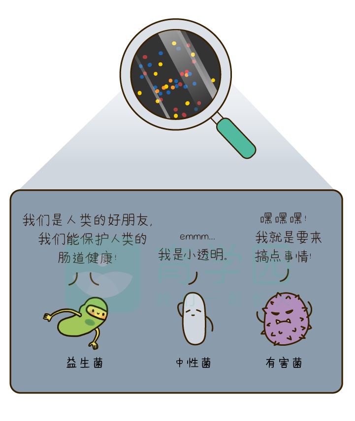 為什麼不建議隨便給孩子吃益生菌制劑？選錯菌株效果有限，還白花錢！ 親子 第4張