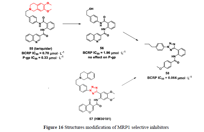 先导化合物结构优化策略 (八）药物转运体及其相关药物设计策略 第20张