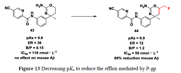 先导化合物结构优化策略 (八）药物转运体及其相关药物设计策略 第14张