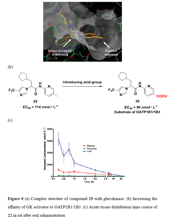 先导化合物结构优化策略 (八）药物转运体及其相关药物设计策略 第10张