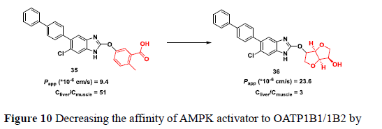 先导化合物结构优化策略 (八）药物转运体及其相关药物设计策略 第11张