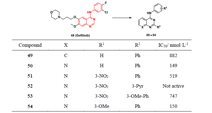 先导化合物结构优化策略 (八）药物转运体及其相关药物设计策略 第19张