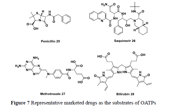 先导化合物结构优化策略 (八）药物转运体及其相关药物设计策略 第9张