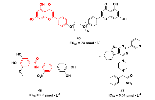 先导化合物结构优化策略 (八）药物转运体及其相关药物设计策略 第17张
