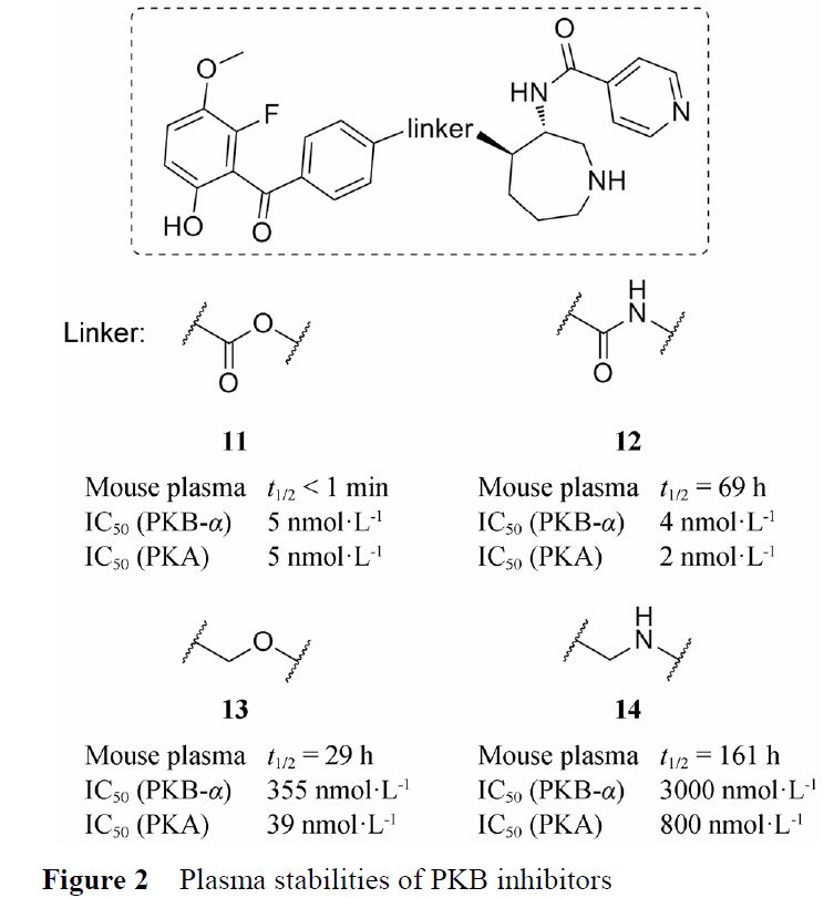 先导化合物结构优化策略 (六）改善化合物血浆稳定性 第4张