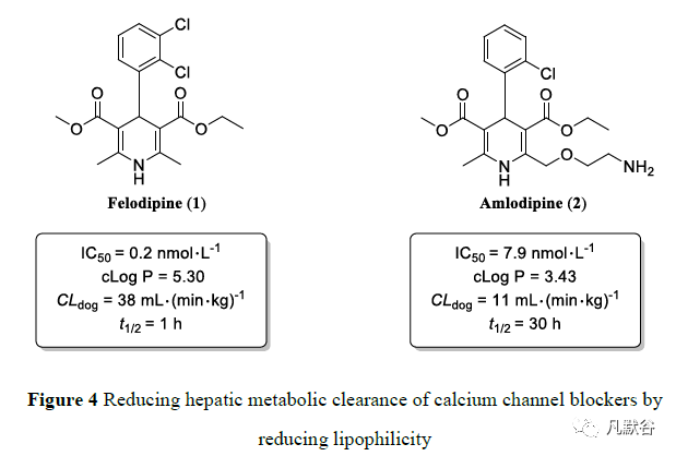 先导化合物结构优化策略(九）改善药物清除率 第16张