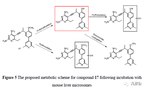 先导化合物结构优化策略(九）改善药物清除率 第21张