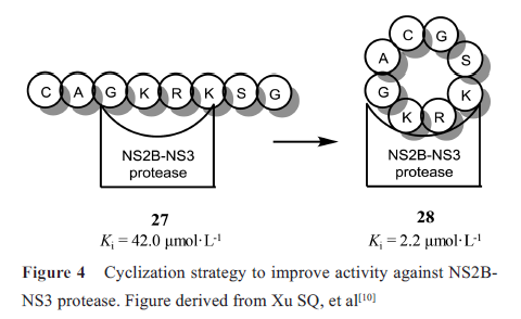 先导化合物结构优化策略(七）肽类分子结构修饰与改造 第5张