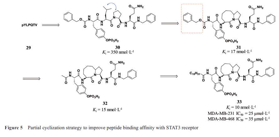 先导化合物结构优化策略(七）肽类分子结构修饰与改造 第6张