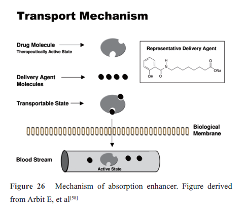 先导化合物结构优化策略(七）肽类分子结构修饰与改造 第27张