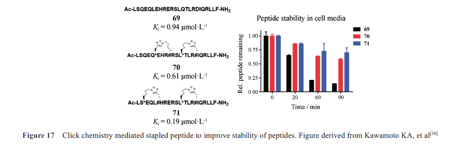 先导化合物结构优化策略(七）肽类分子结构修饰与改造 第18张
