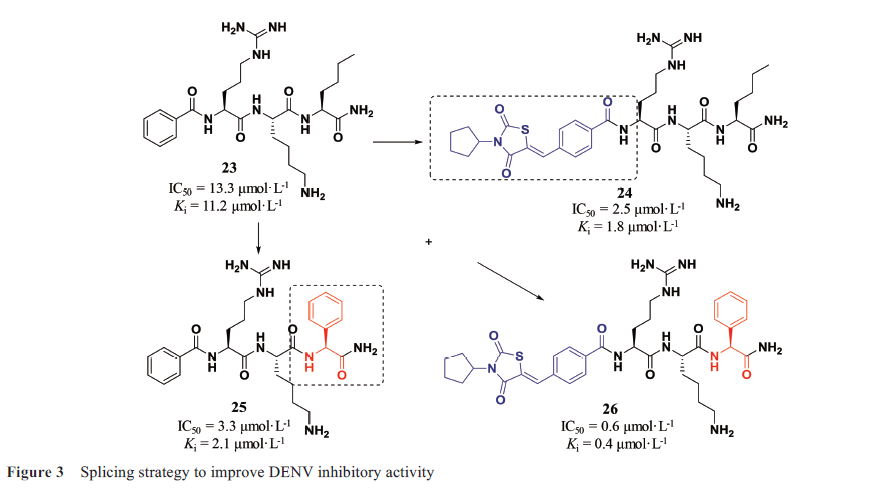 先导化合物结构优化策略(七）肽类分子结构修饰与改造 第4张