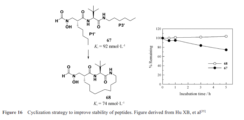 先导化合物结构优化策略(七）肽类分子结构修饰与改造 第17张