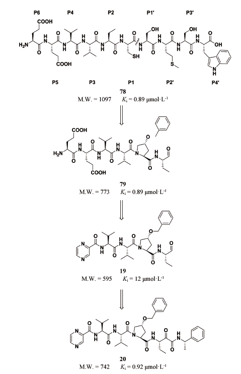 先导化合物结构优化策略(七）肽类分子结构修饰与改造 第22张