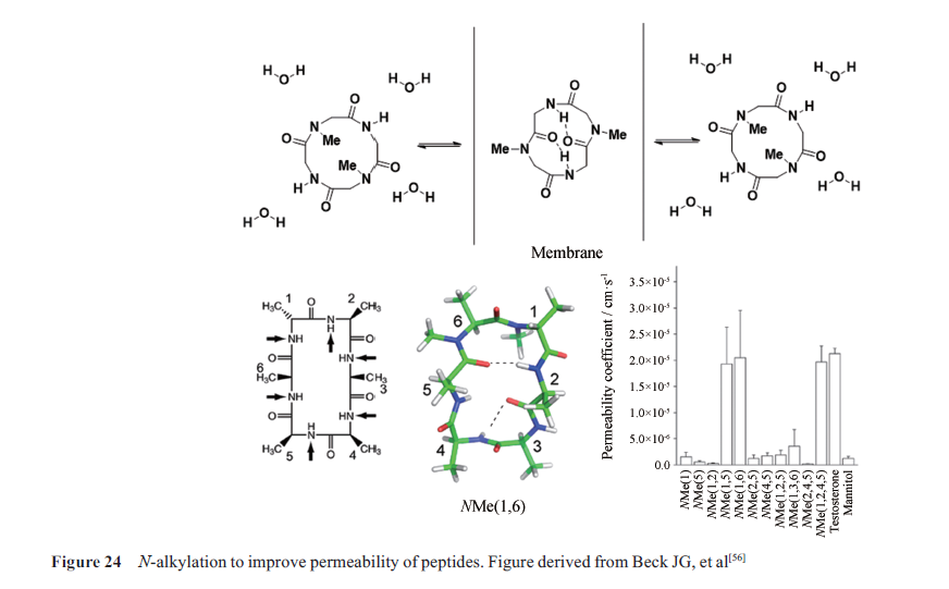 先导化合物结构优化策略(七）肽类分子结构修饰与改造 第25张