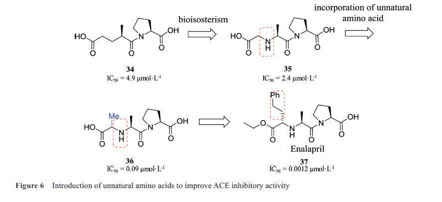 先导化合物结构优化策略(七）肽类分子结构修饰与改造 第7张