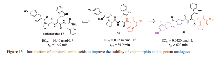 先导化合物结构优化策略(七）肽类分子结构修饰与改造 第13张