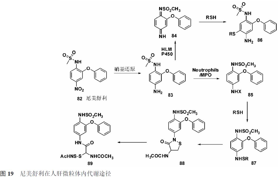 先导化合物结构优化策略 (二）结构修饰降低潜在毒性 第16张