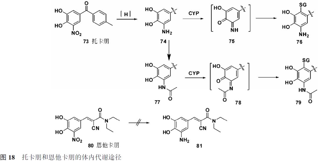 先导化合物结构优化策略 (二）结构修饰降低潜在毒性 第15张