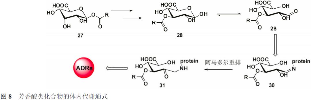 先导化合物结构优化策略 (二）结构修饰降低潜在毒性 第8张