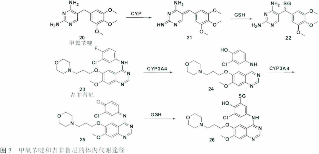 先导化合物结构优化策略 (二）结构修饰降低潜在毒性 第7张