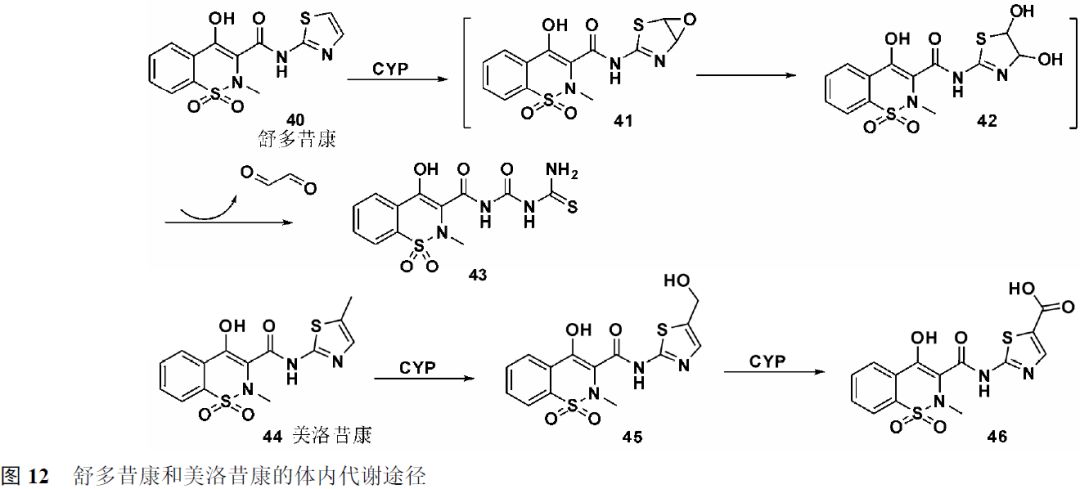 先导化合物结构优化策略 (二）结构修饰降低潜在毒性 第11张