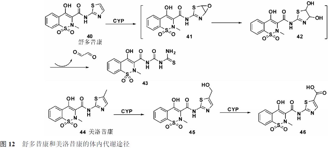 先導化合物結構優化策略 (二)結構修飾降低潛在毒性-藥物研發-化學