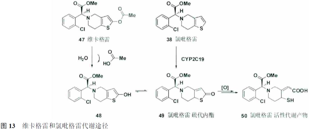 先导化合物结构优化策略 (二）结构修饰降低潜在毒性 第12张