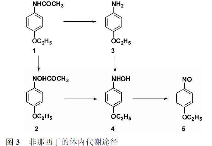 先导化合物结构优化策略 (二）结构修饰降低潜在毒性 第4张