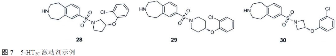 先导化合物结构优化策略 (一）改变代谢途径提高代谢稳定性 第9张