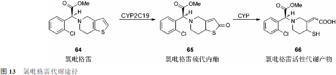 先导化合物结构优化策略 (一）改变代谢途径提高代谢稳定性 第19张