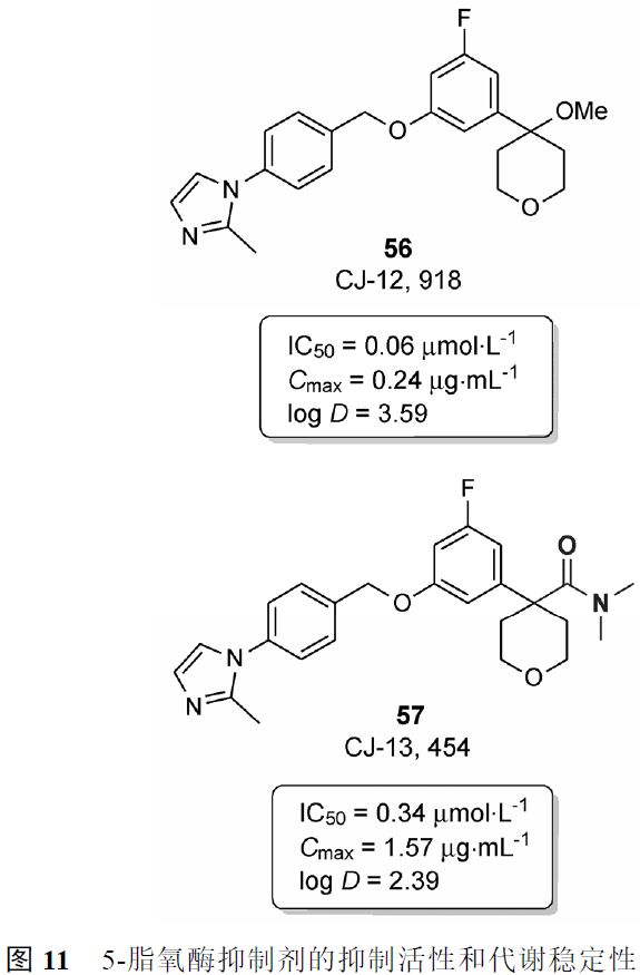 先导化合物结构优化策略 (一）改变代谢途径提高代谢稳定性 第17张