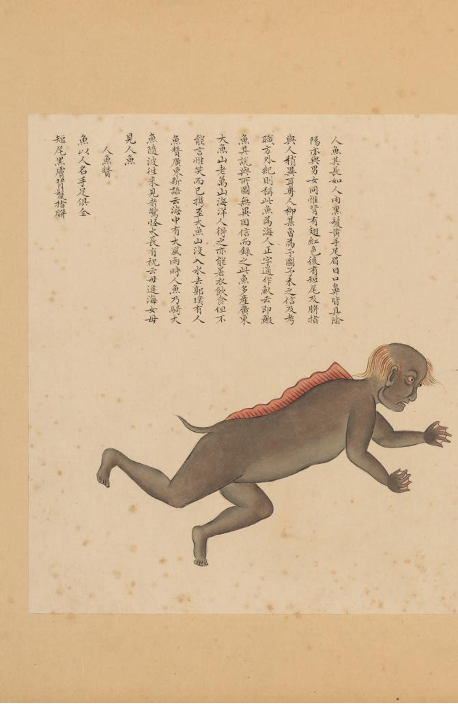 福利丨打破人文与科学的边界 乾隆最爱的动物图鉴里都有什么 开发者头条