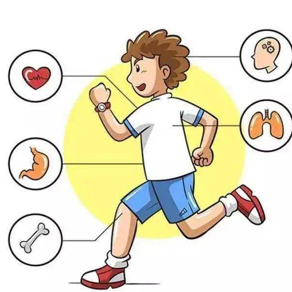 picc包含哪些套件【科普】一文读懂PICC_https://www.jmylbn.com_新闻资讯_第15张