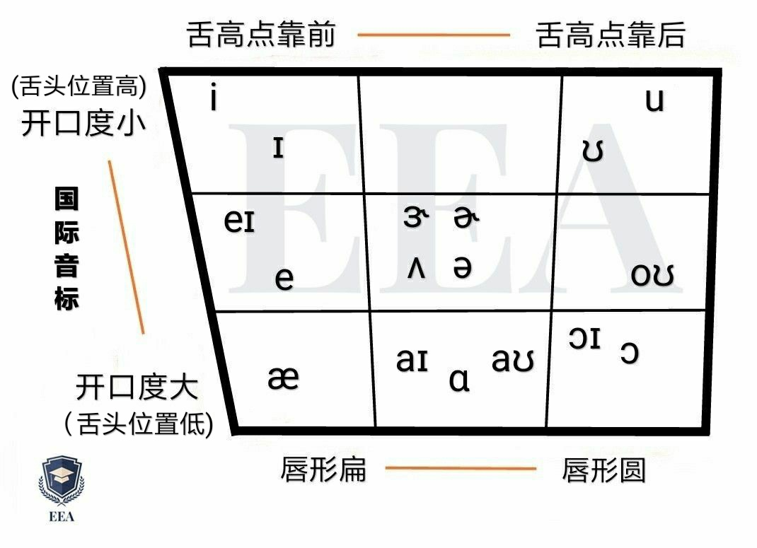 (元音梯形图可以很好地帮助大家区分元音)(舌高点:舌头前面还是中间