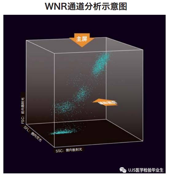 什么是血液分析仪【小结】血细胞分析仪的白细胞五分群原理与散点图_https://www.jmylbn.com_新闻资讯_第14张
