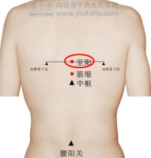 至阳.png 图片