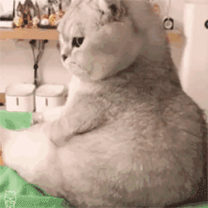 三线城市的gay生，真他妈艰难。