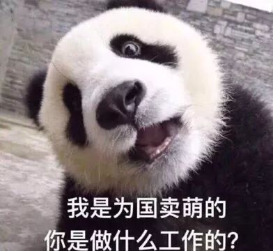 三线城市的gay生，真他妈艰难。