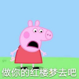 三线城市的gay生，真他妈艰难。