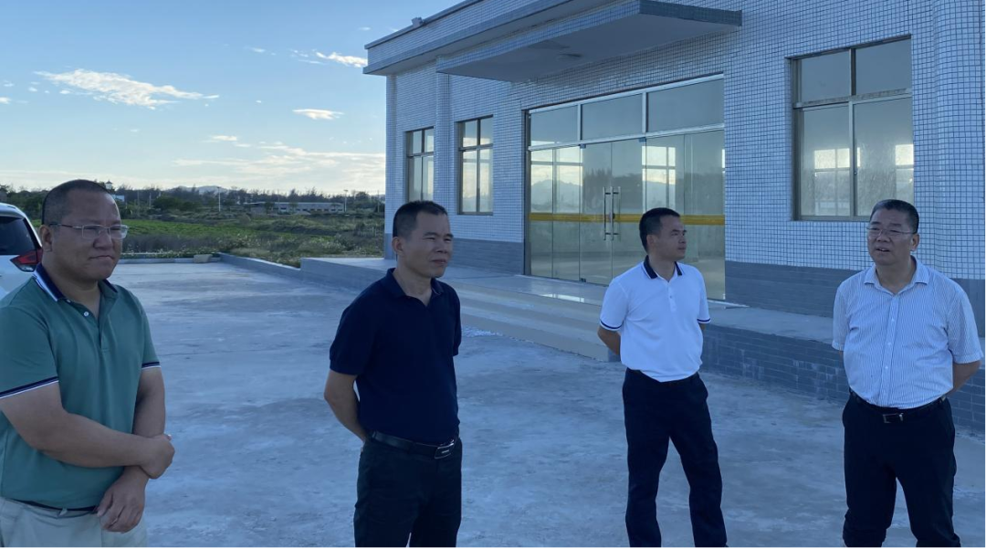 必看县委书记蔡淡群到靖海镇开展调研督导工作