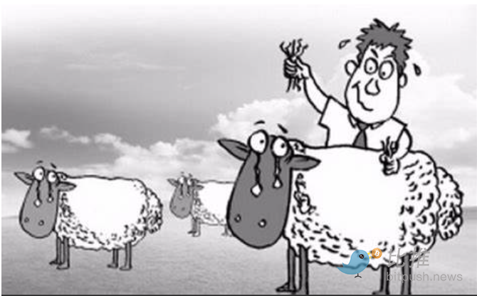 别再只盯着Layer2空投   Layer 1 或将风云再起