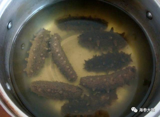 泡煮海参营养会流失吗？泡煮海参的水能喝吗？你都知道吗！