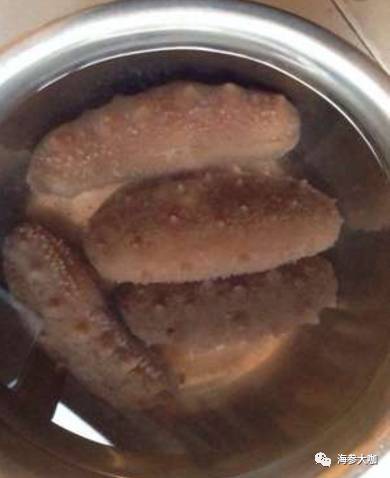 海参出现了这几种情况,是你发泡过程出了错! 海参出现了这几种情况,是你发泡过程出了错!