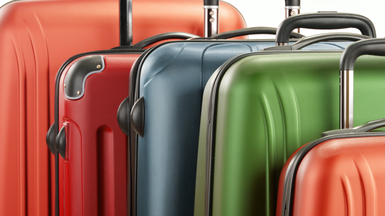 case-img-03_luggage.png