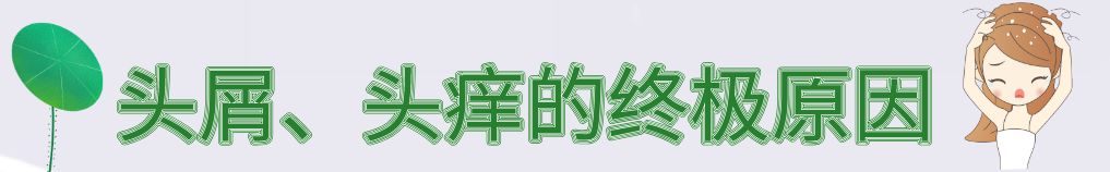 头痒头屑？因为你的头上有上千只毛囊虫在爬！